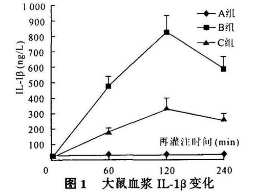 白細胞介素-1介導骨骼肌缺血再灌注損傷的