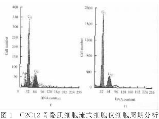 骨骼肌肌細(xì)胞增殖及分化過(guò)程中凋亡現(xiàn)象