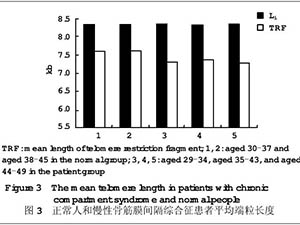 端粒長度與腰骶部慢性骨筋膜間隔綜合征