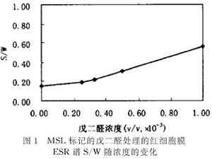 膜蛋白交聯(lián)對紅細(xì)胞膜變形性及流動性的影響